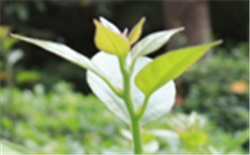 COD及COD測定儀環(huán)境監(jiān)測常見問題解答